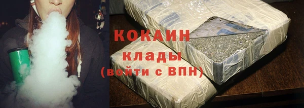 стаф Алзамай