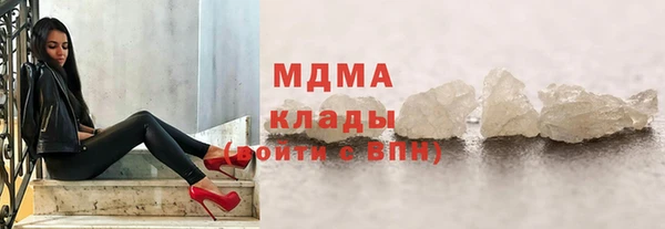 стаф Алзамай