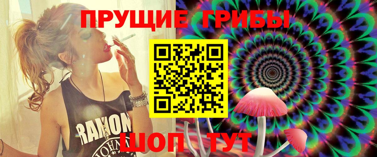Псилоцибиновые грибы Psilocybine cubensis Уфа